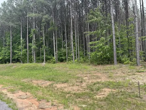 1771 Crockett Point Jasper TN 37347