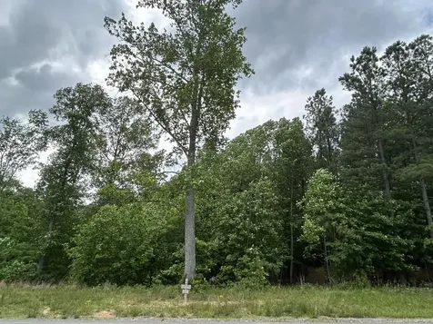 464 Moonlight Lane Jasper TN 37347
