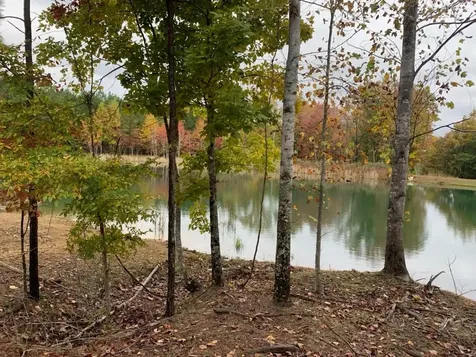 464 Moonlight Lane Jasper TN 37347