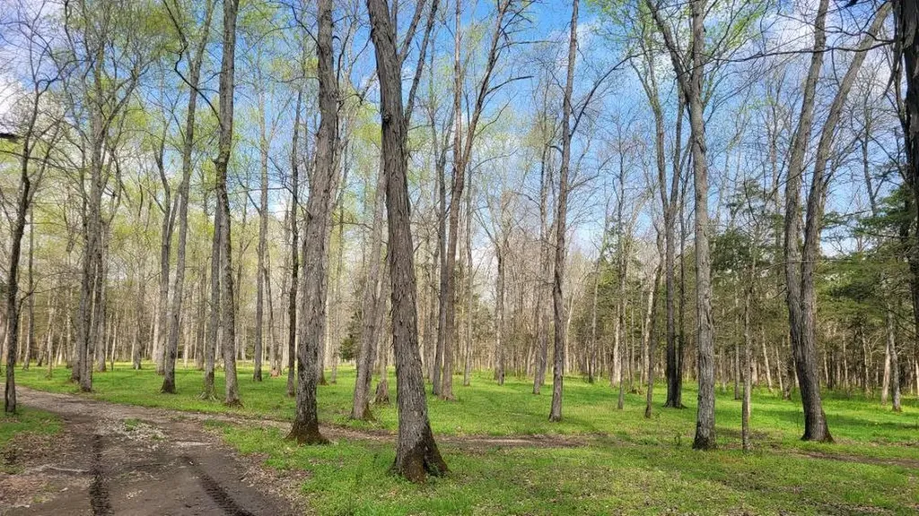 5 Pass Road Shelbyville TN 37160