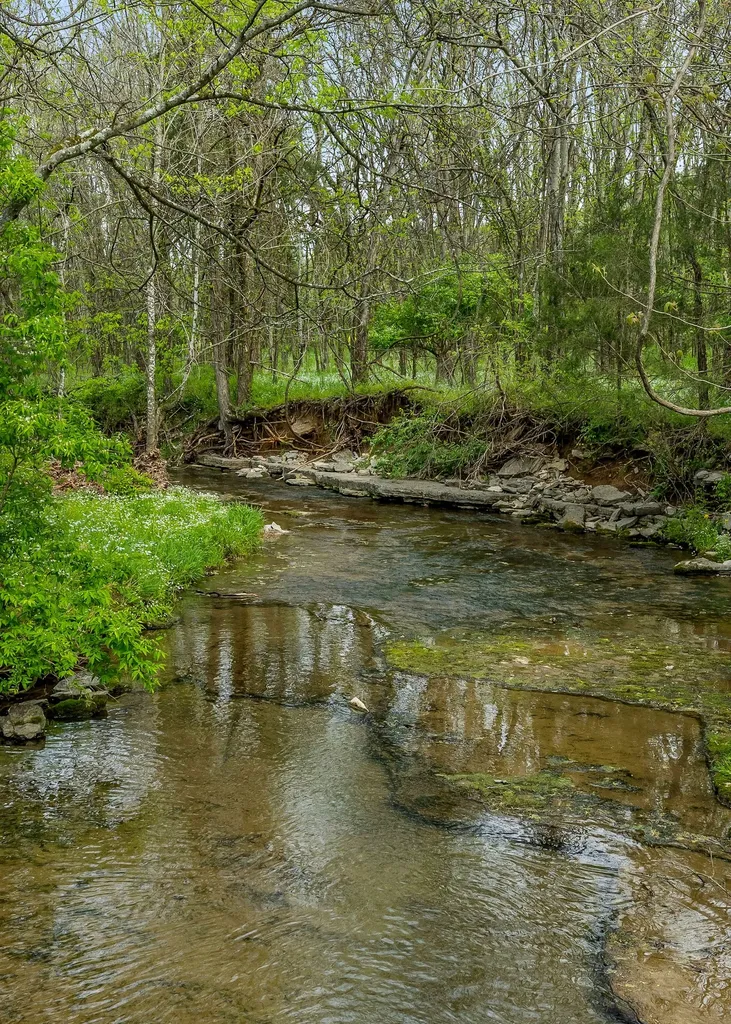 134 Opossum Hollow Road Watertown TN 37184