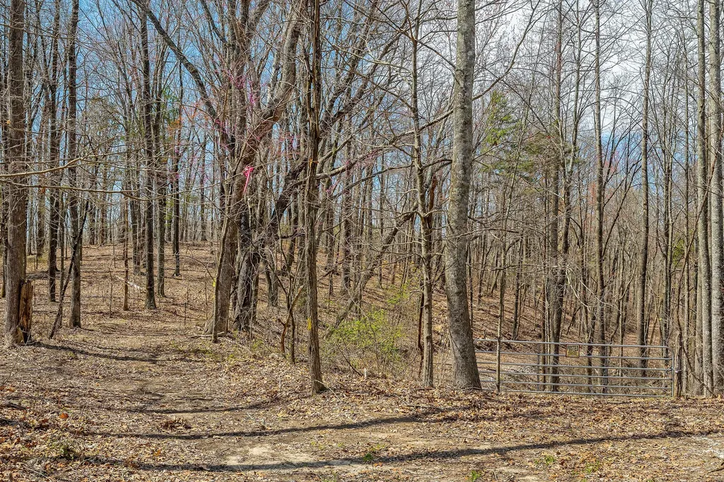 0 White Oak Flatt Road Sparta TN 38583