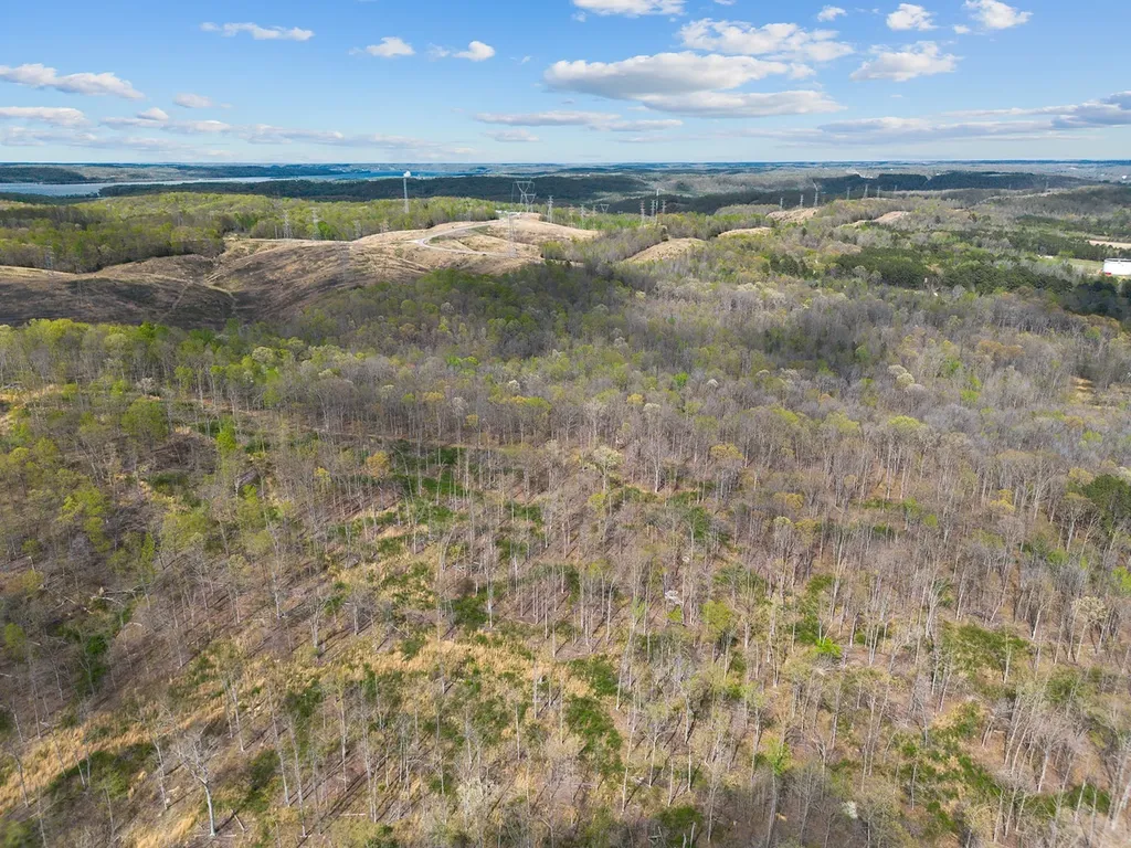 0 Nell Beard Road New Johnsonville TN 37134