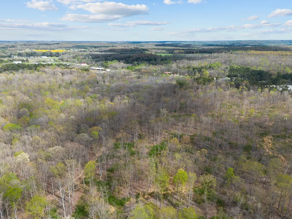 0 Nell Beard Road New Johnsonville TN 37134