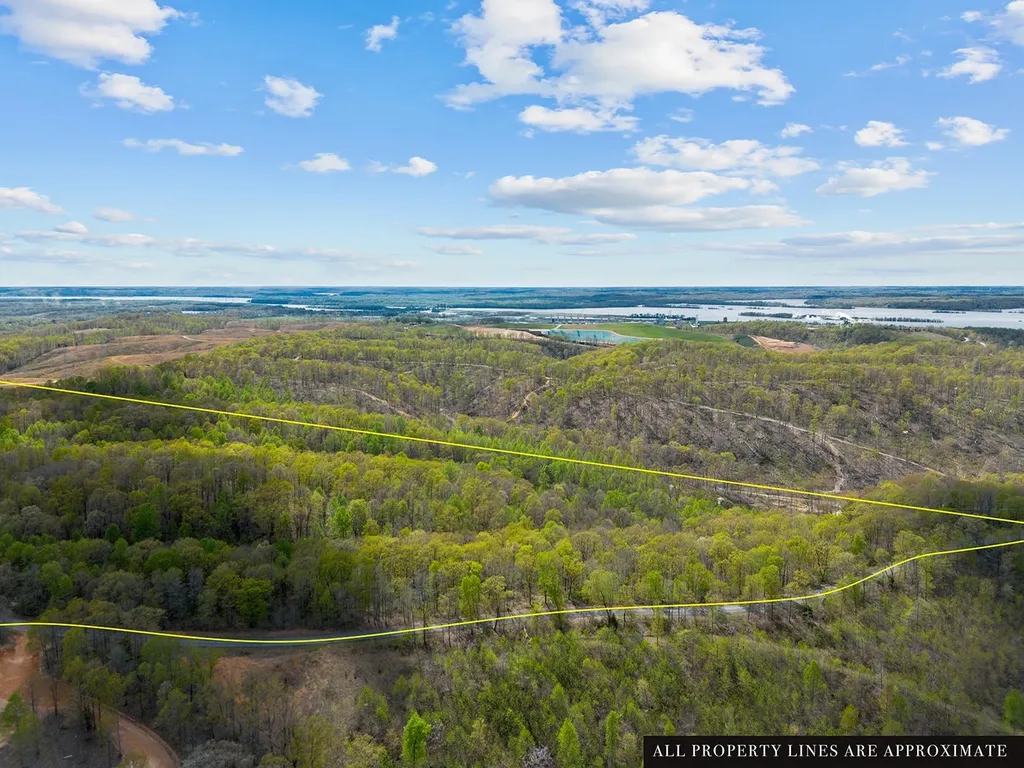 0 Nell Beard Road New Johnsonville TN 37134