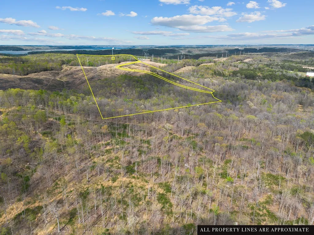 0 Nell Beard Road New Johnsonville TN 37134