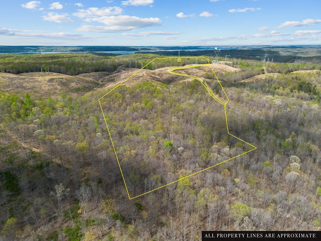 0 Nell Beard Road New Johnsonville TN 37134