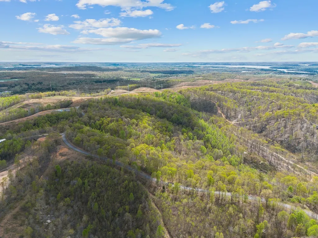 0 Nell Beard Road New Johnsonville TN 37134