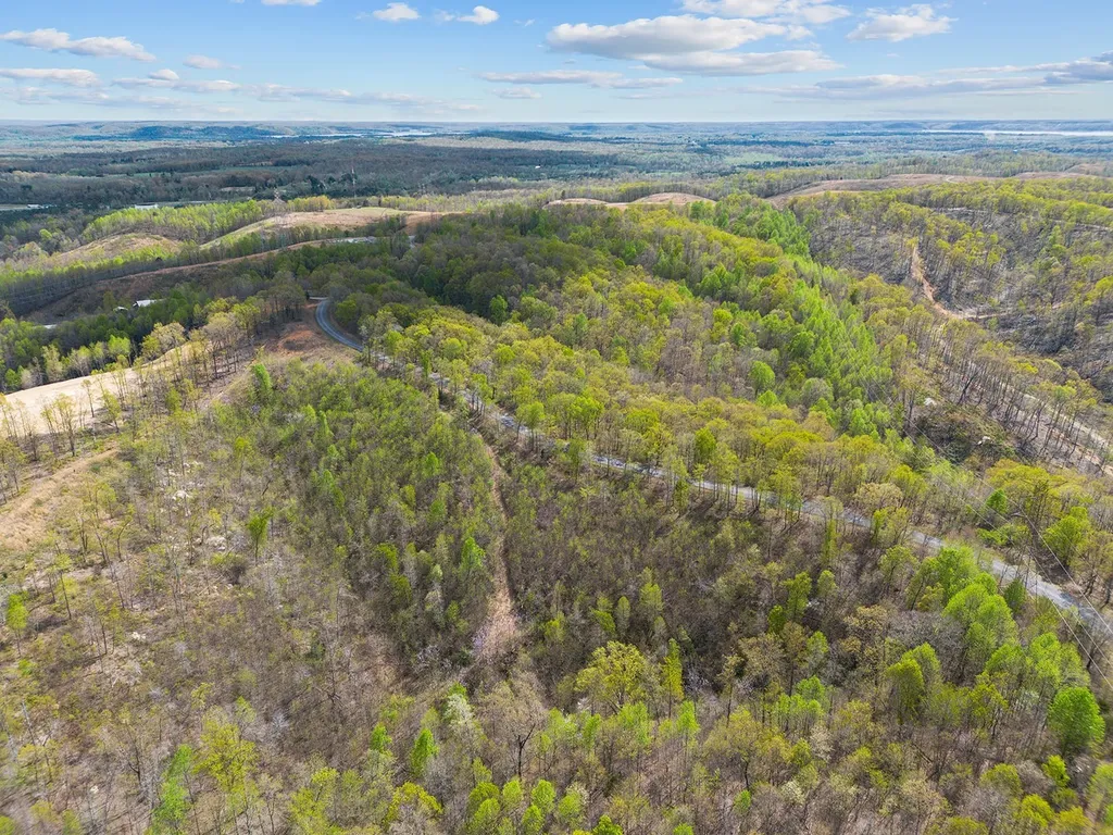 0 Nell Beard Road New Johnsonville TN 37134