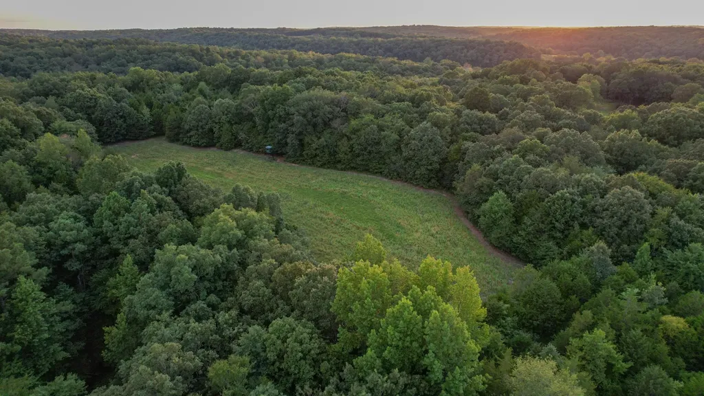 1651 Yellow Creek Dickson TN 37055