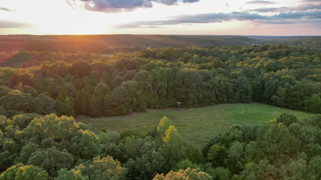 1651 Yellow Creek Dickson TN 37055
