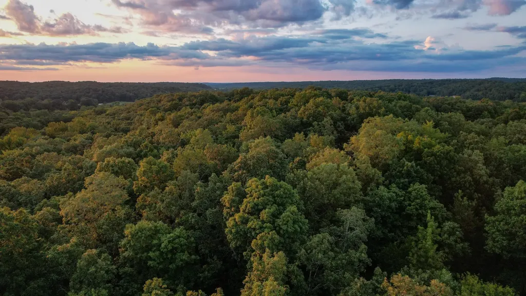 1651 Yellow Creek Dickson TN 37055