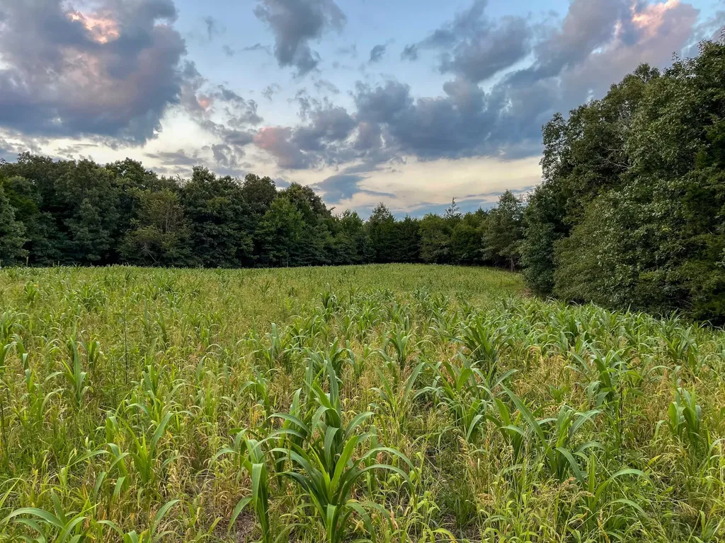 1651 Yellow Creek Dickson TN 37055