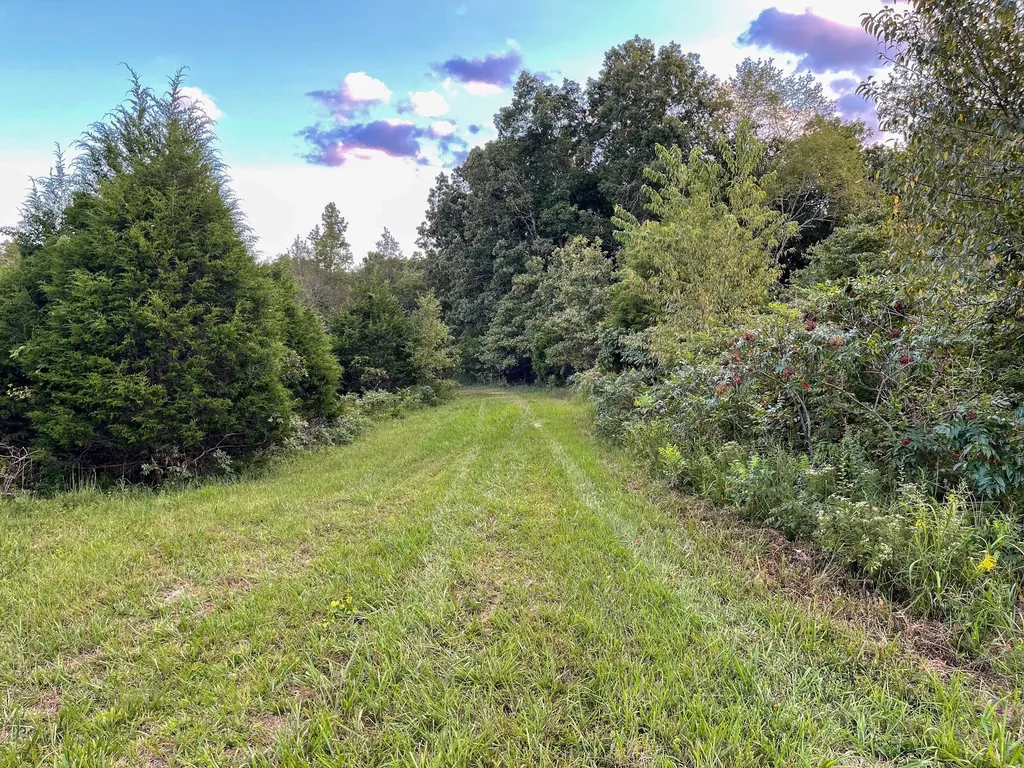 1651 Yellow Creek Dickson TN 37055