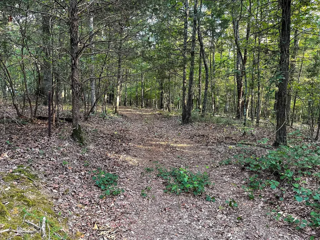 1651 Yellow Creek Dickson TN 37055
