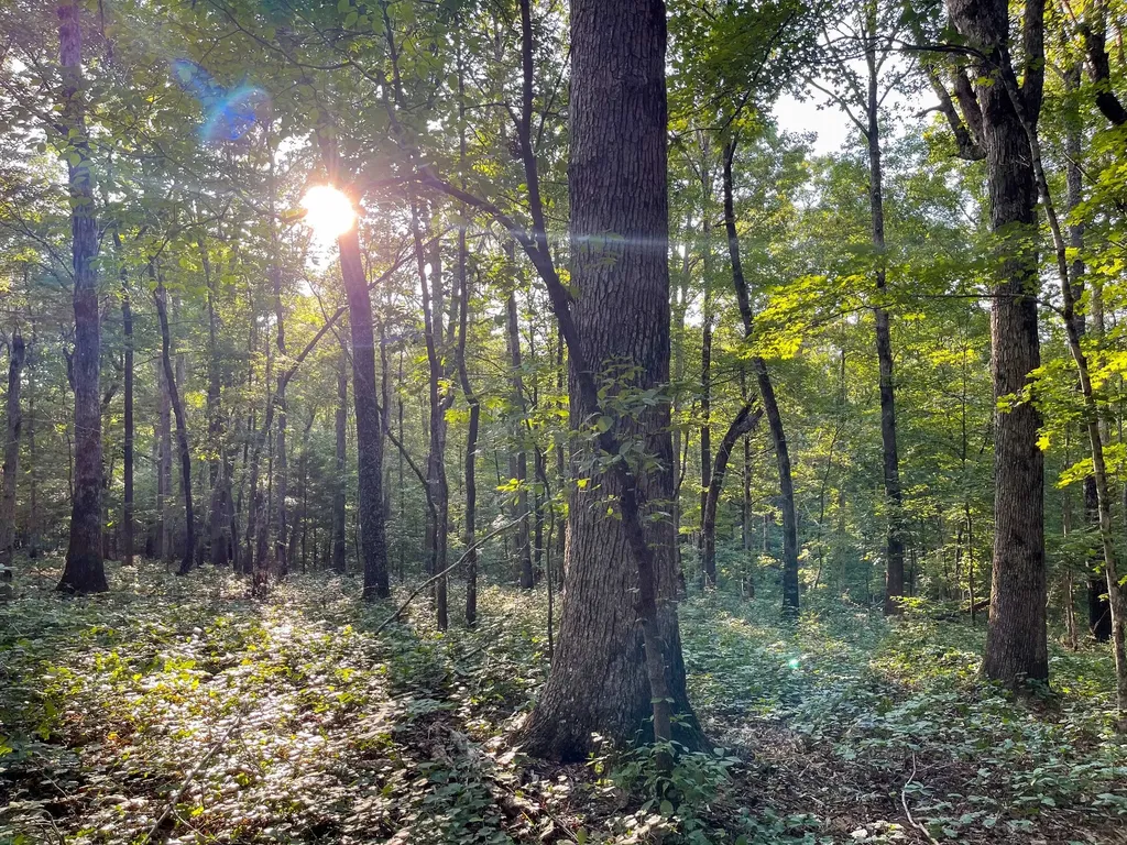 1651 Yellow Creek Dickson TN 37055