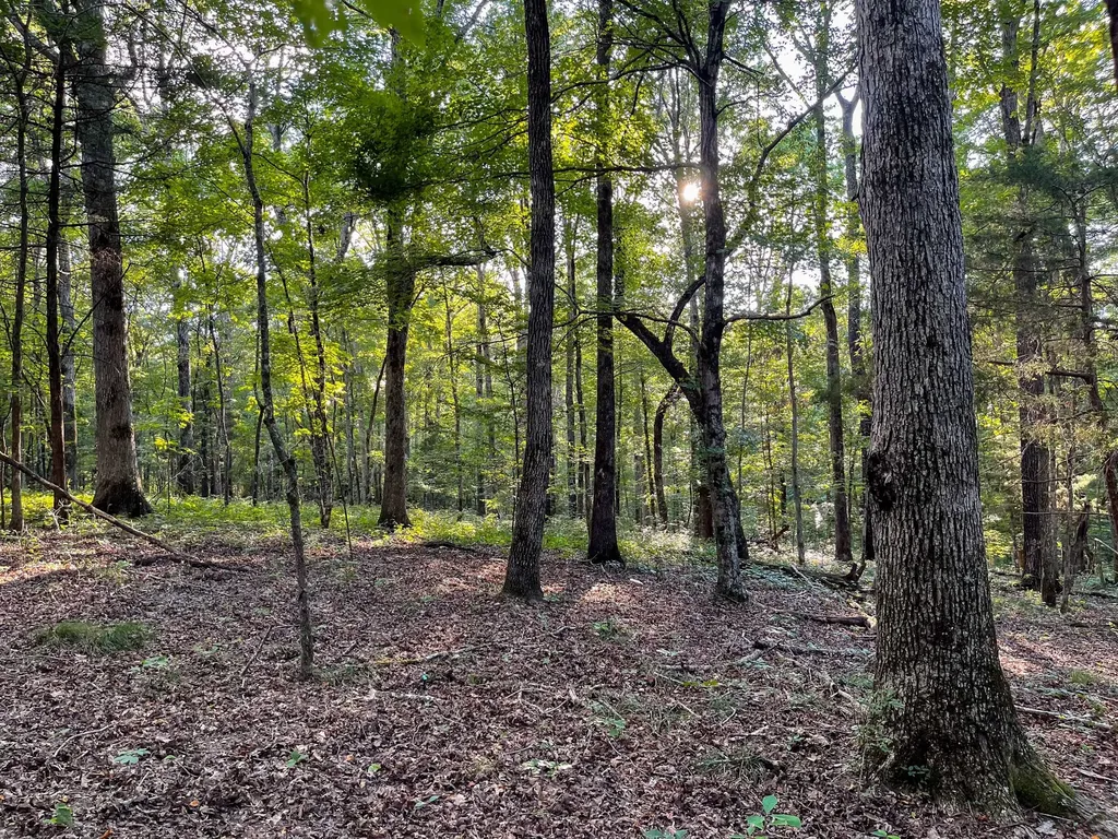 1651 Yellow Creek Dickson TN 37055