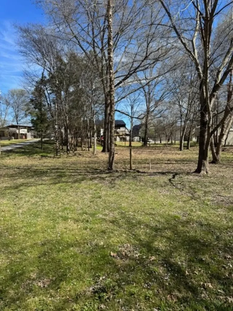0 Arrow Head Drive Parsons TN 38363