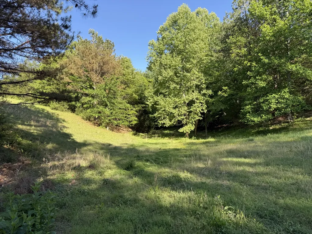0 Poplar Grove Road Mc Ewen TN 37101