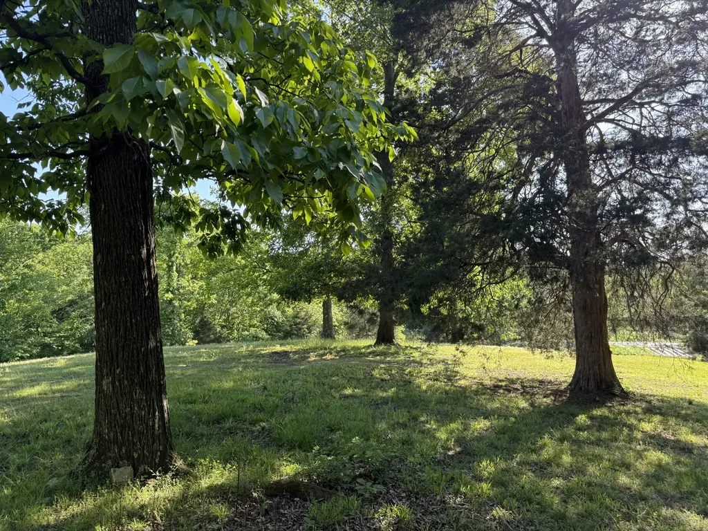 0 Poplar Grove Road Mc Ewen TN 37101