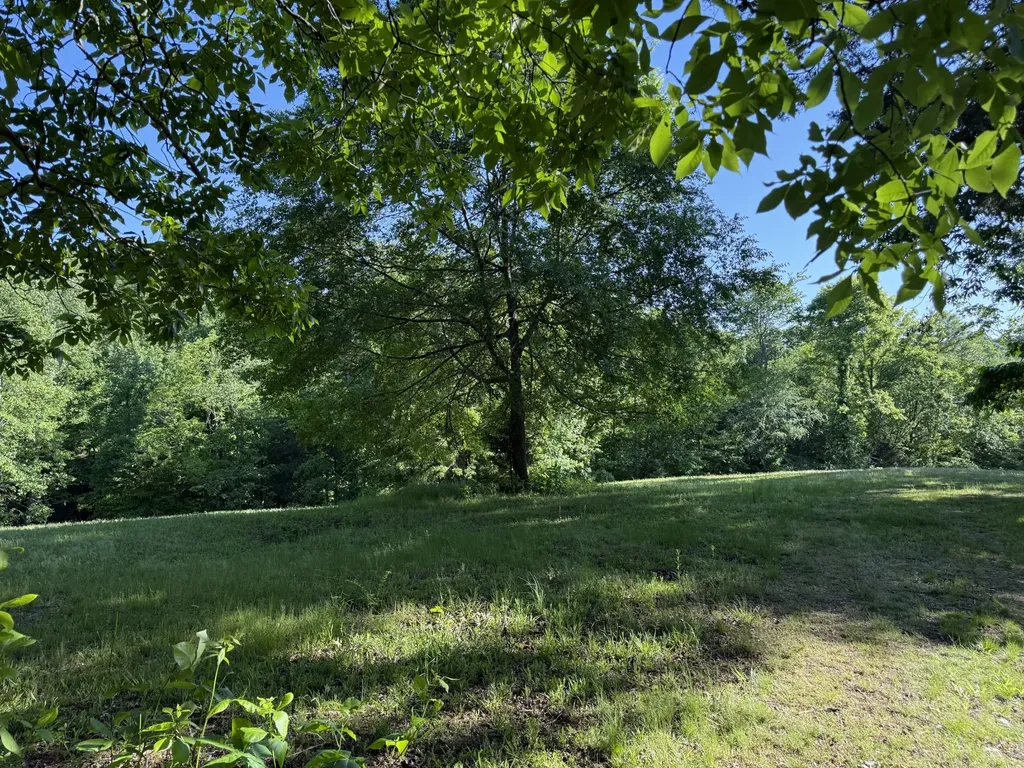 0 Poplar Grove Road Mc Ewen TN 37101