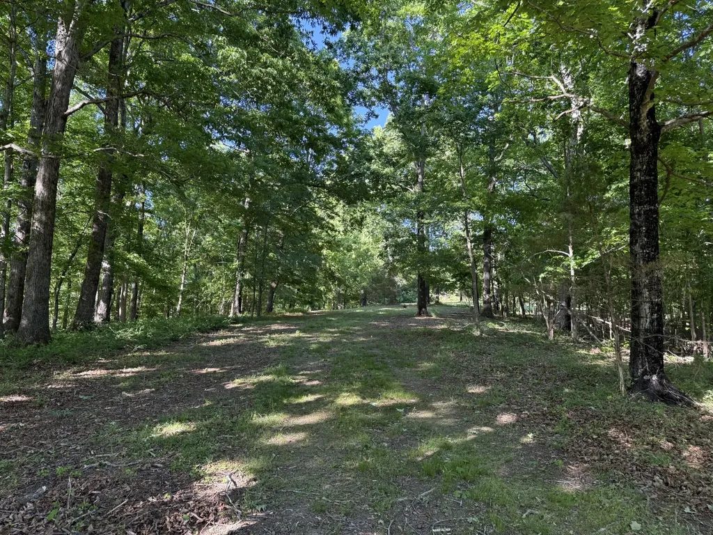 0 Poplar Grove Road Mc Ewen TN 37101