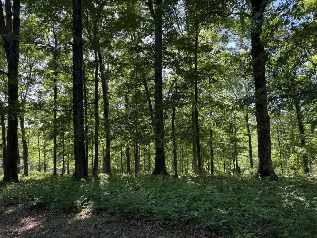 0 Poplar Grove Road Mc Ewen TN 37101