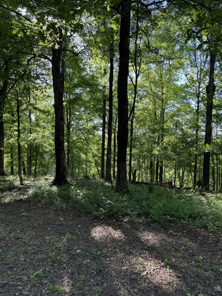 0 Poplar Grove Road Mc Ewen TN 37101