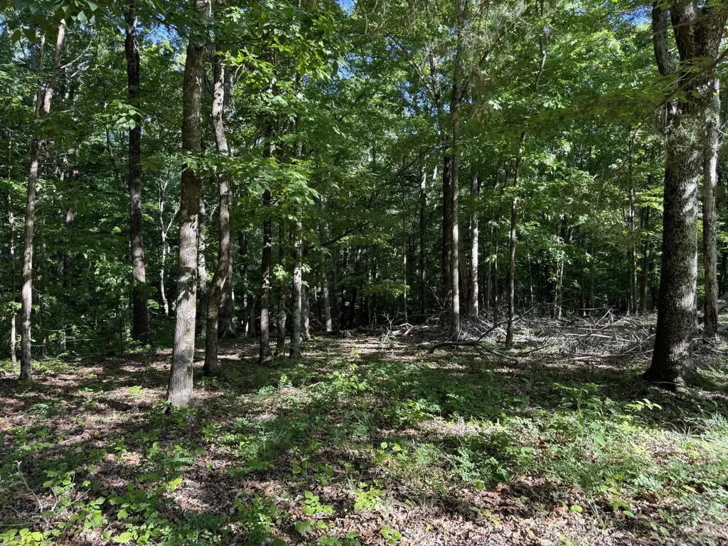 0 Poplar Grove Road Mc Ewen TN 37101