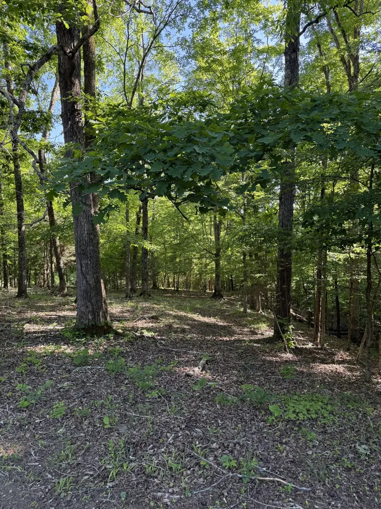 0 Poplar Grove Road Mc Ewen TN 37101
