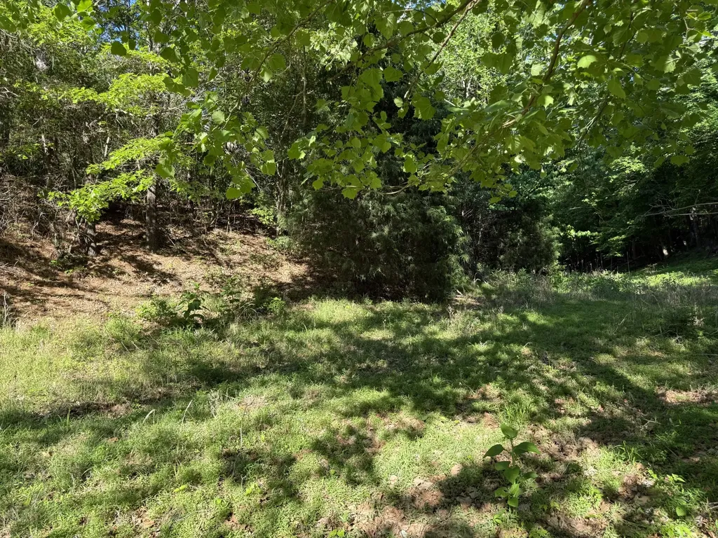 0 Poplar Grove Road Mc Ewen TN 37101