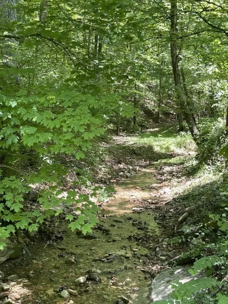 201 Post Road Waverly TN 37185