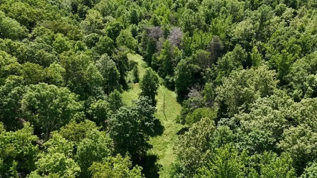 201 Post Road Waverly TN 37185