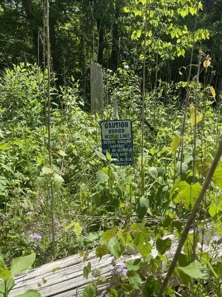 201 Post Road Waverly TN 37185