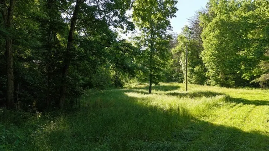 201 Post Road Waverly TN 37185