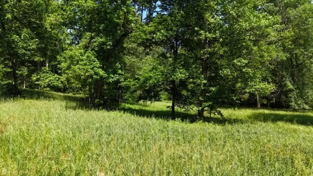 201 Post Road Waverly TN 37185