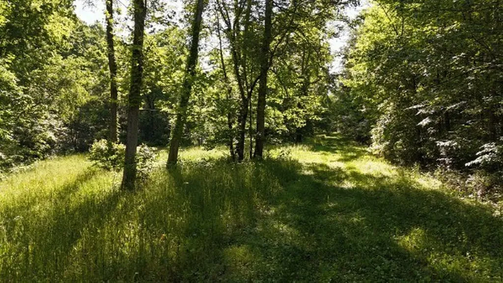 201 Post Road Waverly TN 37185