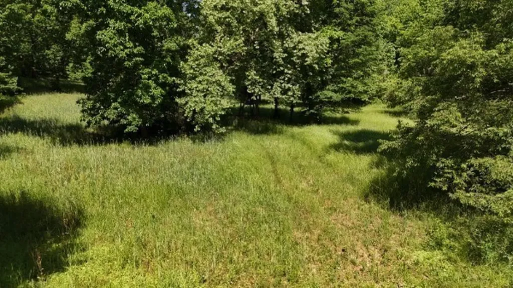 201 Post Road Waverly TN 37185