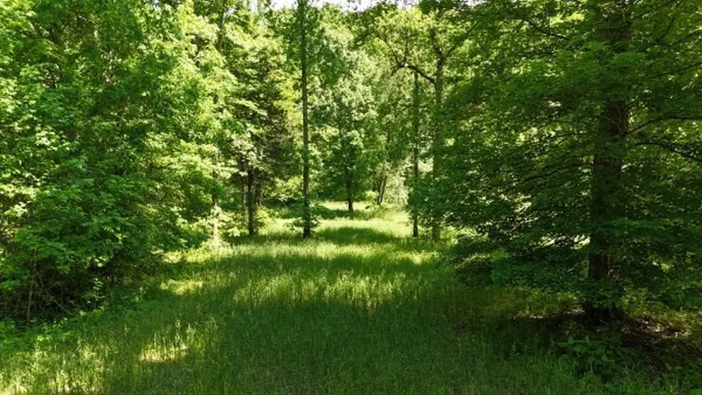 201 Post Road Waverly TN 37185
