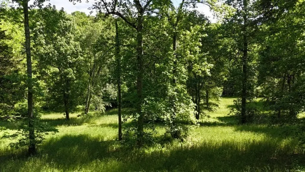 201 Post Road Waverly TN 37185