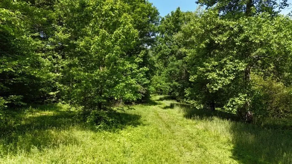 201 Post Road Waverly TN 37185