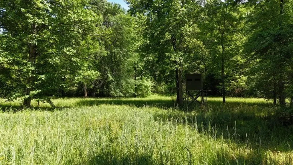 201 Post Road Waverly TN 37185