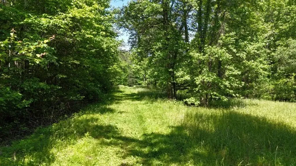 201 Post Road Waverly TN 37185