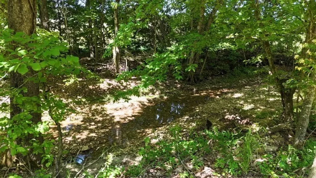 201 Post Road Waverly TN 37185