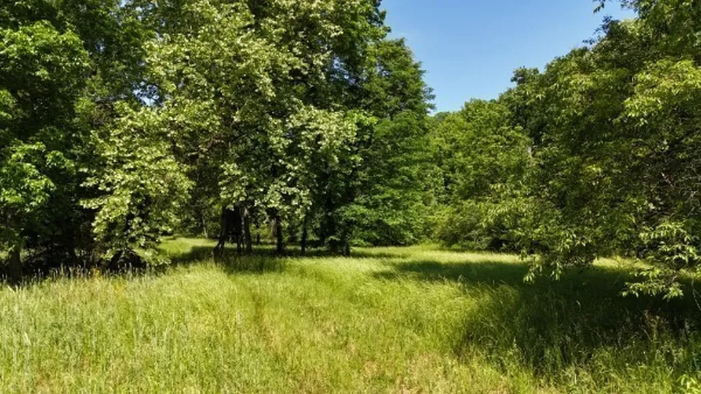 201 Post Road Waverly TN 37185