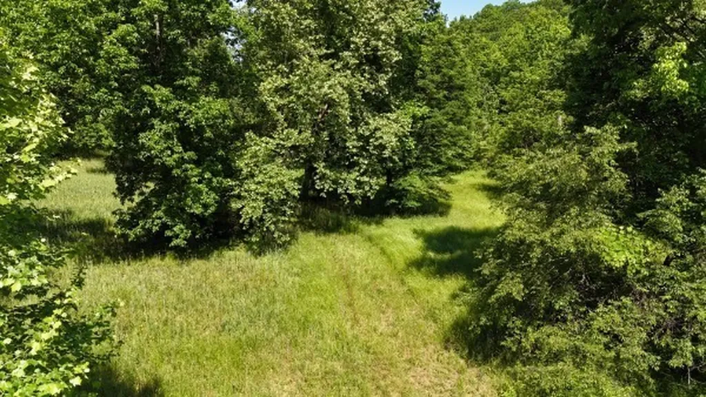 201 Post Road Waverly TN 37185