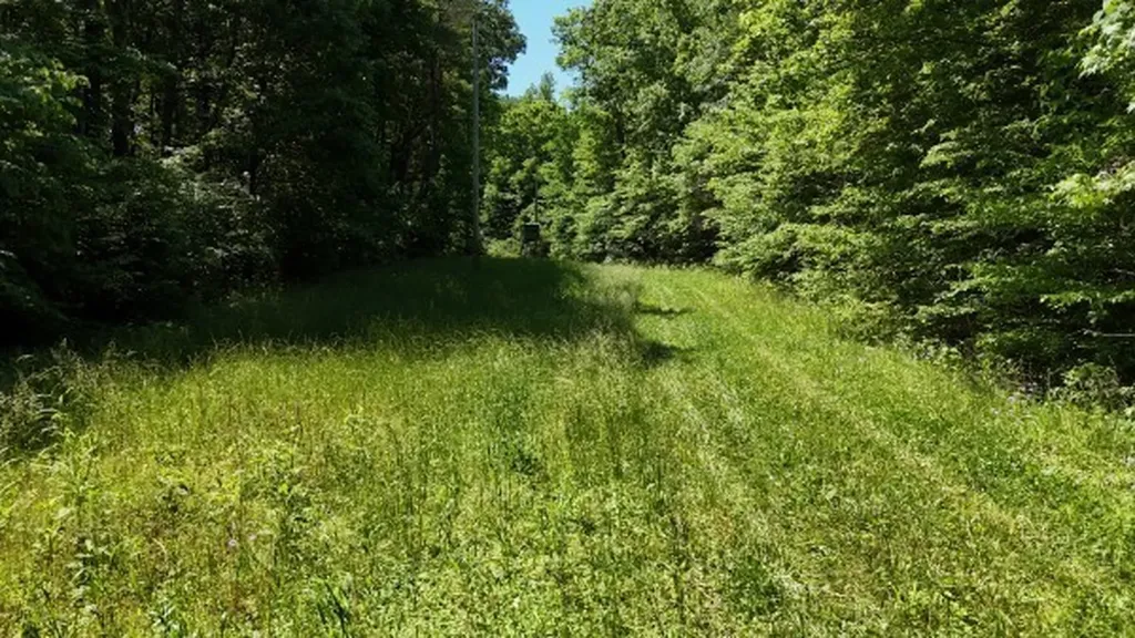 201 Post Road Waverly TN 37185