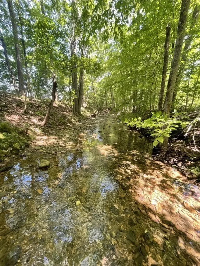 201 Post Road Waverly TN 37185