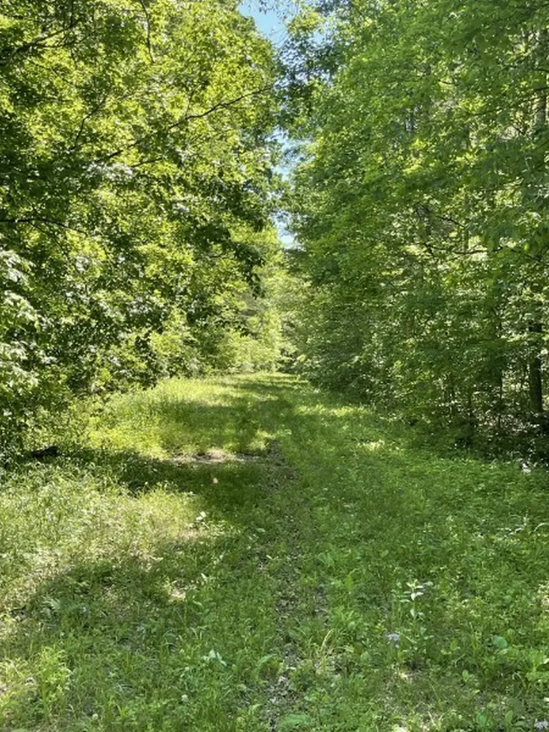 201 Post Road Waverly TN 37185