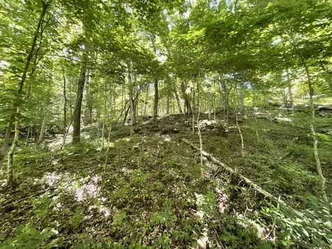 3712 Budds Creek Road Palmyra TN 37142
